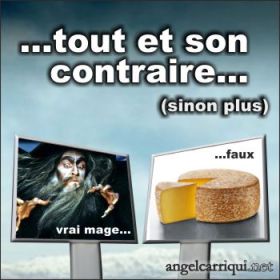 tout et son contraire 001