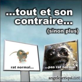 tout et son contraire 001