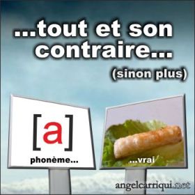 tout et son contraire 001