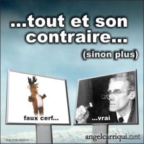 tout et son contraire 001