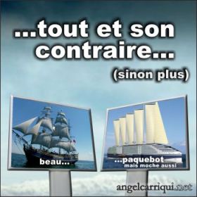 tout et son contraire 001