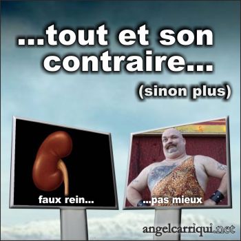 tout et son contraire 001
