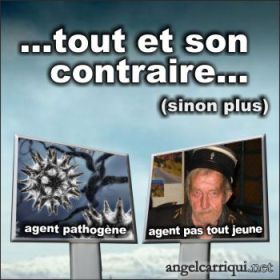 tout et son contraire 043