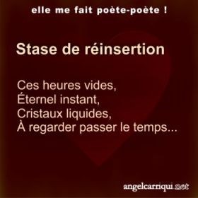 stase de reinsertion